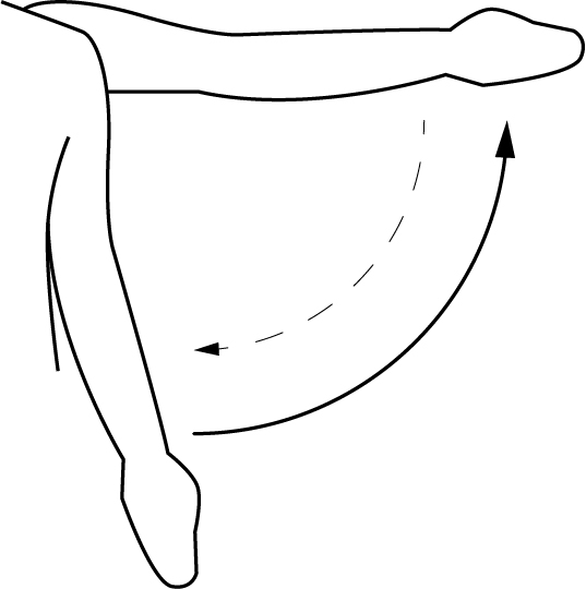 Abduzione